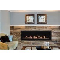 Boulevard Direct Vent Fireplaces