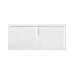 39" Double Access Door