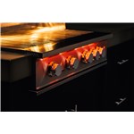 TF 32" 4 Burner Gas Grill - LP