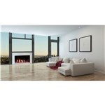 55" Plaza Linear Direct Vent Fireplace