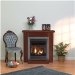 Vail 24 VF Millivolt Fireplace Propane