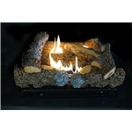 Kennesaw II  18" Log Set