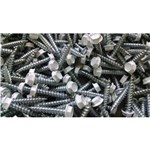 SCREW 1" WHITE HEX HEAD 500CT