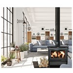 Model 21 Wood Stove - Black Door